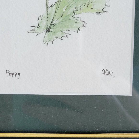 Poppy Watercolor Painting - Picture 4 of 6